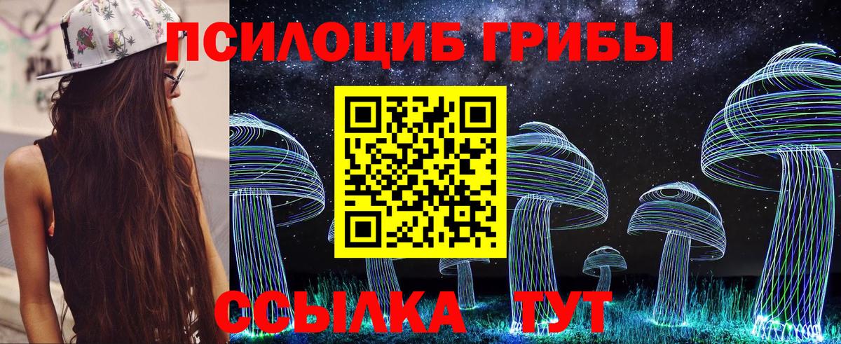 Ишимбай  Галлюциногенные грибы Cubensis  Вход с VPN  Псилоцибиновые грибы MAGIC MUSHROOMS 
